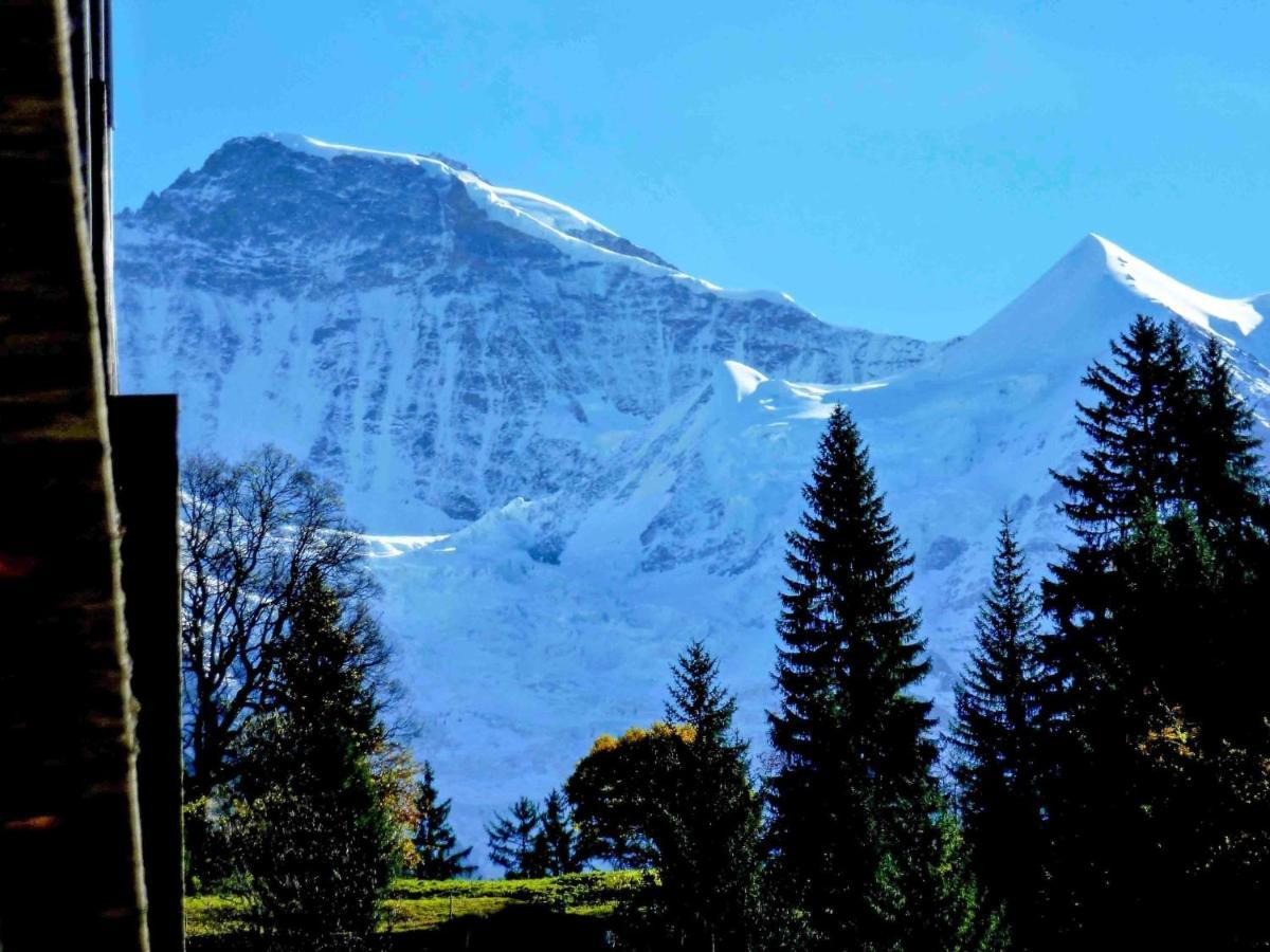 Appartement Breithorn-residence.3